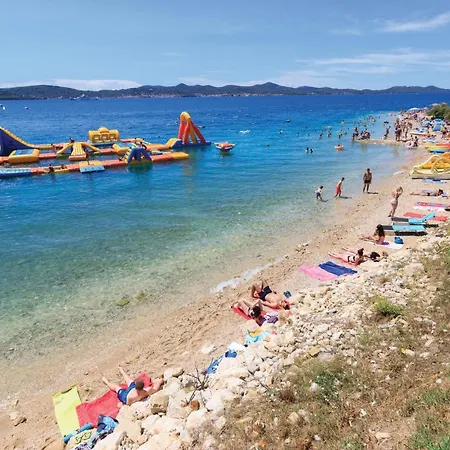 Cda659 * Maslenica