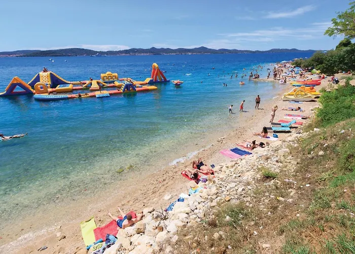 Cda659 * Maslenica